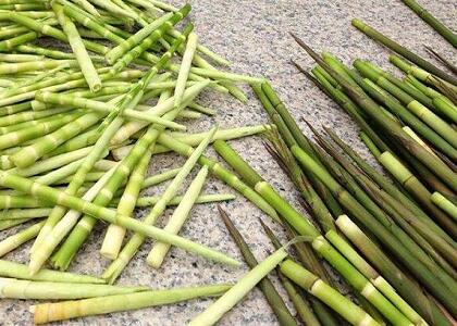 新鮮蔬菜配送:鮮竹筍