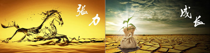 企業(yè)發(fā)展要學(xué)會(huì)取他人之長、補(bǔ)自己之短 企業(yè)發(fā)展要學(xué)會(huì)取他人之長、補(bǔ)自己之短